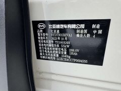 BYD Seagull Flying Edition - фото 16