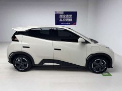 BYD Seagull Flying Edition - фото 7