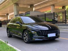 Hongqi E-QM5 basic travel version - фото 3