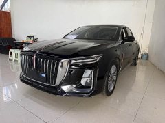 Hongqi H5 2023 2.0T Automatic Intelligent Connected Flag Edition - фото 1