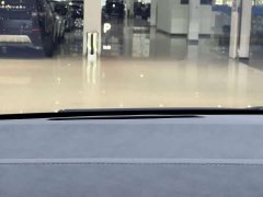 Li Auto Ideal MEGA Home Family Special Edition - фото 12
