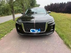 Hongqi H9 2020 2.0T Zhilian Qixiang Edition - фото 2