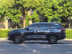 Chery Tiggo 8 PLUS 290TGDI DCT Haoqing Edition - фото 14