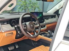 Tank 500 3.0T sports version, environment type, 5 seats - фото 11