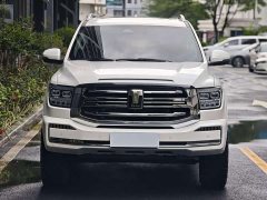 Tank 500 3.0T sports version, environment type, 5 seats - фото 2