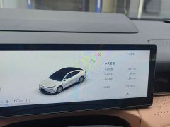 Geely Galaxy Starship 8 130km EM-P Starship Edition - фото 14