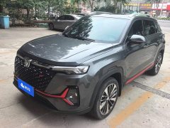 Changan CS35PLUS Blue Whale NE 1.4T DCT Premium Type - фото 1