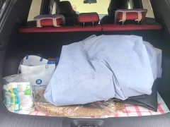 Changan CS35PLUS Blue Whale NE 1.4T DCT Premium Type - фото 4