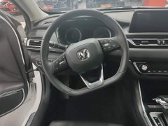 Ruicheng CC 2022 Blue Whale Edition 1.5T DCT Luxury - фото 15
