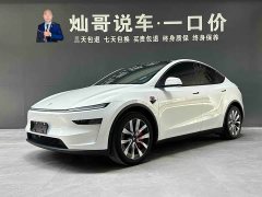 Tesla Model Y rear-wheel drive version - фото 1