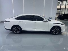 Changan Eado Blue Whale 1.5T 500Bar Premium Type - фото 12