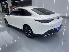 Changan Eado Blue Whale 1.5T 500Bar Premium Type - фото 14