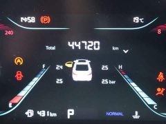 Changan EADO Enjoy Edition PLUS Blue Whale NE 1.4T GDI DCT Premium Edition - фото 12