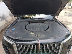 Hongqi H9 2.0T Smart connection Qichang Edition - фото 20