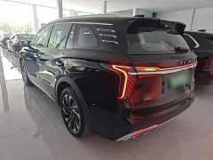 Hongqi HS7 PHEV 2024 2.0T PHEV four-wheel drive Qichang version 6 seats - фото 5
