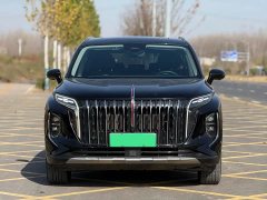 Hongqi HS7 PHEV 2.0T PHEV four-wheel drive Qichang version 7 seats - фото 2