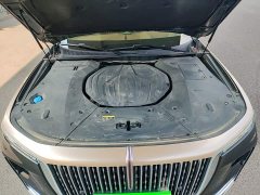 Hongqi H9 2.0T Zhilian Qichang Edition - фото 20