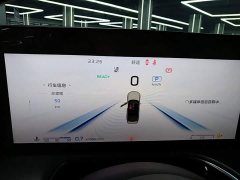 Hongqi H9 2024 2.0T Qichang Private Fashion Edition - фото 12