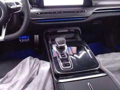 Hongqi H9 2024 2.0T Qichang Private Fashion Edition - фото 14
