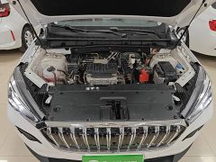 Hongqi E-HS3 2019 Zhilian Qiyue 2WD version - фото 16