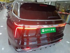 Hongqi E-HS9 690km flagship version six seats - фото 6