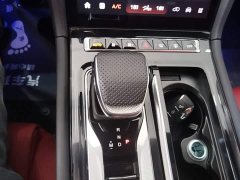 Hongqi H6 2.0T Zhi Shang Edition - фото 14