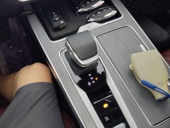 Hongqi HS5 2026 2.0T two-wheel drive Qixiang Pro version - фото 14