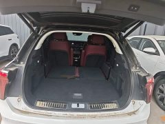 Hongqi E-HS9 690km flagship version six seats - фото 19