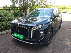 Hongqi HS7 PHEV 2.0T PHEV four-wheel drive Qichang version 6 seats - фото 2