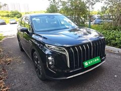 Hongqi HS7 PHEV 2.0T PHEV four-wheel drive Qichang version 6 seats - фото 4