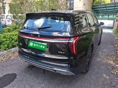 Hongqi HS7 PHEV 2.0T PHEV four-wheel drive Qichang version 6 seats - фото 7