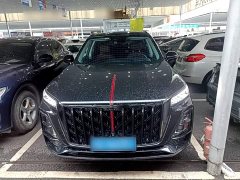 Hongqi HS5 2.0T two-wheel drive Xuanying Edition - фото 3