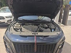 Hongqi H5 2025 2.0T automatic Qichang version - фото 16