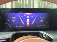 Hongqi H9 Facelift 2.0T RWD Flagship Private Luxury Edition 5-Seater - фото 12