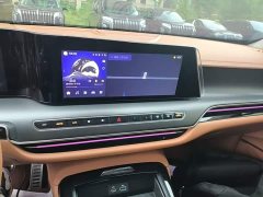Hongqi H9 Facelift 2.0T RWD Flagship Private Luxury Edition 5-Seater - фото 13