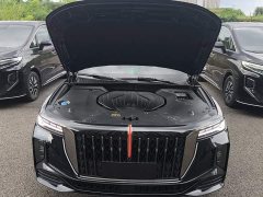 Hongqi H9 Facelift 2.0T RWD Flagship Private Luxury Edition 5-Seater - фото 20