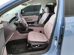 Hongqi Tian-Gong 06 660 AWD Smart Selection Edition - фото 15