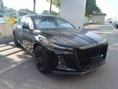 Hongqi H5 2025 2.0T Automatic Xuan Ying 2 Million Units Commemorative Edition - фото 4