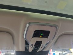 Hongqi E-HS9 460km flagship version six seats - фото 18