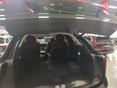 Hongqi E-HS9 460km flagship version six seats - фото 19