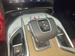 Hongqi E-HS9 690km flagship version six seats - фото 14