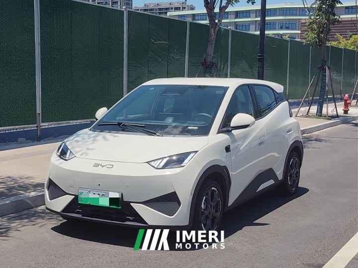 BYD Seagull smart driving version 305km free version