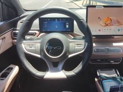 BYD Seagull smart driving version 305km free version - фото 12