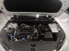 Changan Eado 2025 Blue Whale 1.5T 500Bar Premium Type - фото 20
