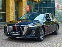 Hongqi H5 2023 2.0T Automatic Intelligent Connected Flag Edition - фото 1
