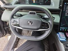 Changan Yida Blue Whale NE 1.5T GDI DCT flagship - фото 15