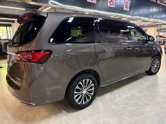 Buick GL8 2023 facelift land business class luxury - фото 9