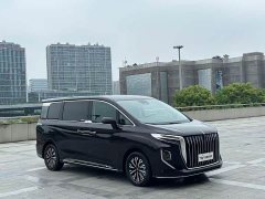 Hongqi HQ9 PHEV 2.0T 4WD Luxury Edition - фото 3