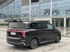 Hongqi HQ9 PHEV 2.0T 4WD Luxury Edition - фото 6