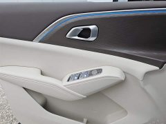 Haval MAX Hi4 110 Pro - фото 10